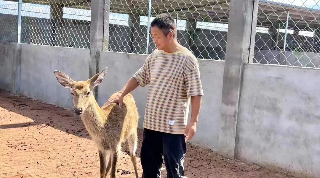 新莆京官方网站782